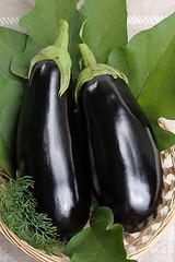 Image showing Eggplants.