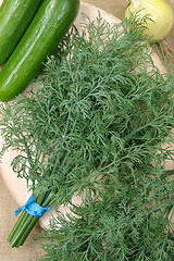 Image showing Dill