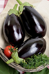 Image showing Eggplants.