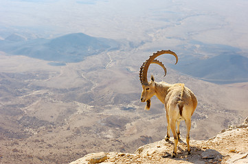 Image showing Makhtesh Ramon