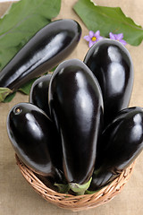 Image showing Eggplants.