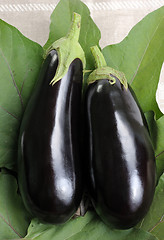 Image showing Eggplants.