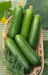 Image showing Cucumbers