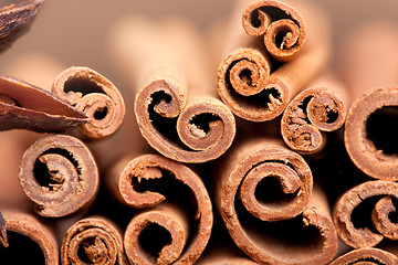 Image showing Cinnamon Sticks