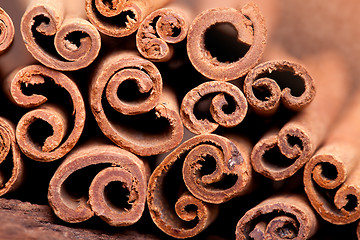 Image showing Cinnamon Sticks