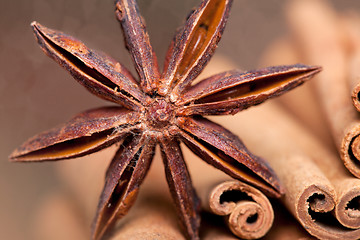 Image showing Anise and Cinnamon