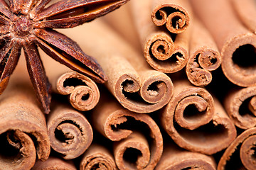 Image showing Anise and Cinnamon