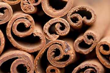 Image showing Cinnamon Sticks