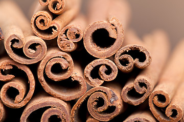 Image showing Cinnamon Sticks