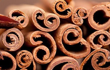 Image showing Cinnamon Sticks