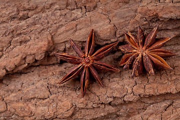 Image showing Anise stars