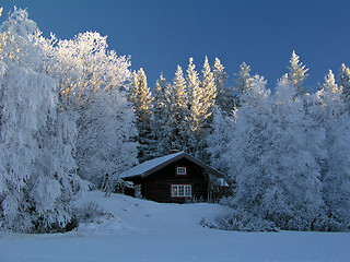 Image showing Winter landscape