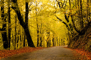 Image showing Autumn landscape