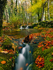 Image showing Beautiful river