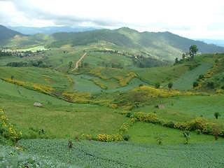 Image showing north countryside in north thailand