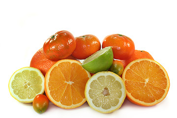 Image showing Citrus fruits