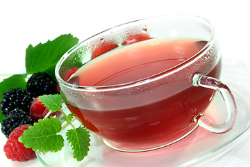 Image showing Forest fruit tea