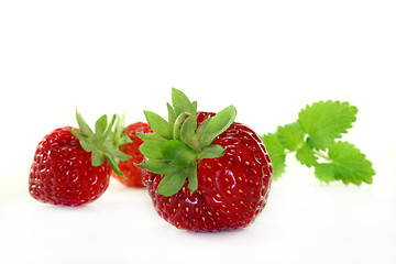 Image showing Strawberries