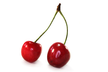 Image showing Cherries