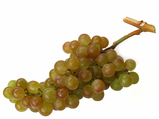 Image showing muscat grapes