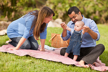 Image showing Happy Mixed Race Family Playing In The Park