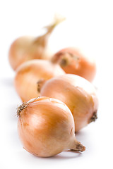 Image showing five ripe onions