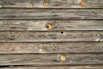 Image showing Plank wall with knots