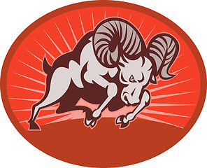 Image showing Bighorn sheep or ram attacking