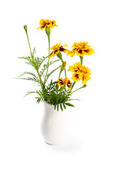 Image showing marigold flowers in vase