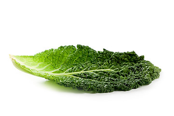 Image showing fresh savoy cabbage leaf