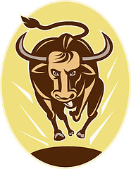Image showing Raging texas longhorn bull
