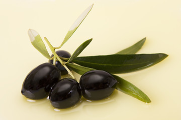 Image showing Olive oil