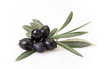 Image showing Olive