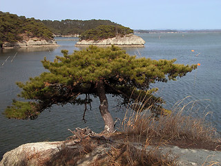 Image showing Matsushima landscape