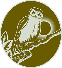 Image showing owl perched on a tree branch