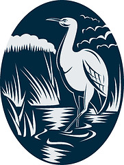 Image showing Heron wading in the marsh