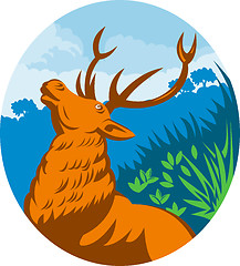 Image showing Roaring red stag deer