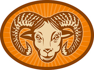 Image showing Bighorn sheep ram head