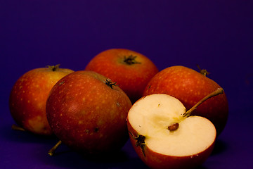 Image showing apples