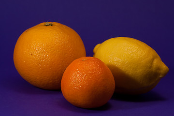 Image showing Citrus fruits