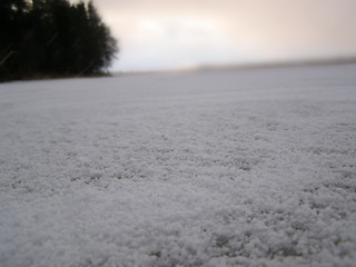 Image showing Snow