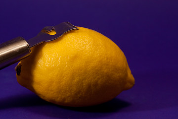 Image showing Lemon and zester