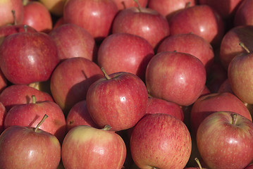 Image showing rosy red apples