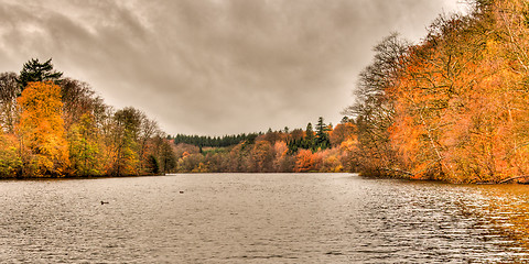 Image showing Autumn Lake