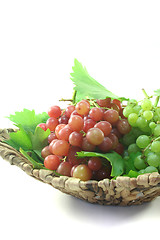 Image showing red and bright grapes