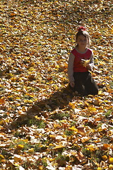 Image showing Autumn yellow mood