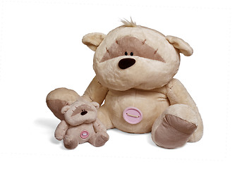 Image showing Soft teddy bear couple