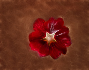 Image showing Red Fractal flower