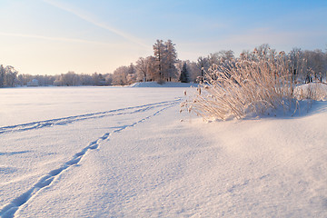 Image showing Winter park panorama