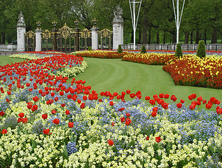 Image showing Flowers near Buckingham palace
